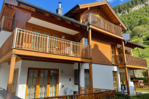 Anna 1 by SMR Rauris Apartments - inc Spa and near Gondola